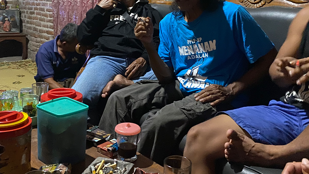 Mētis, Rambutan Garongan dan Talking&nbsp;Heads